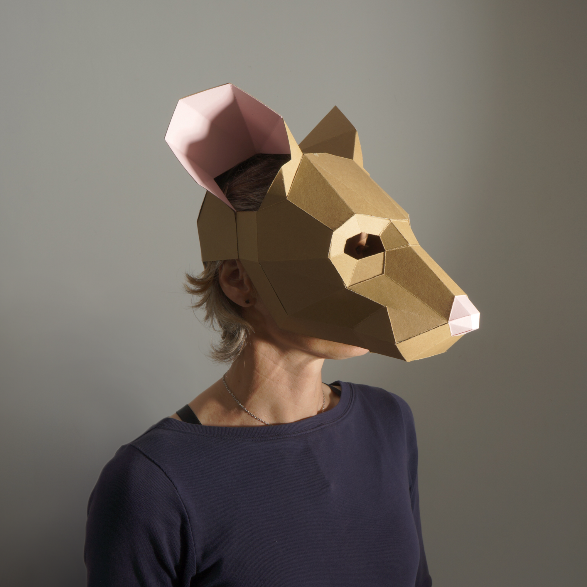 Mouse Mask