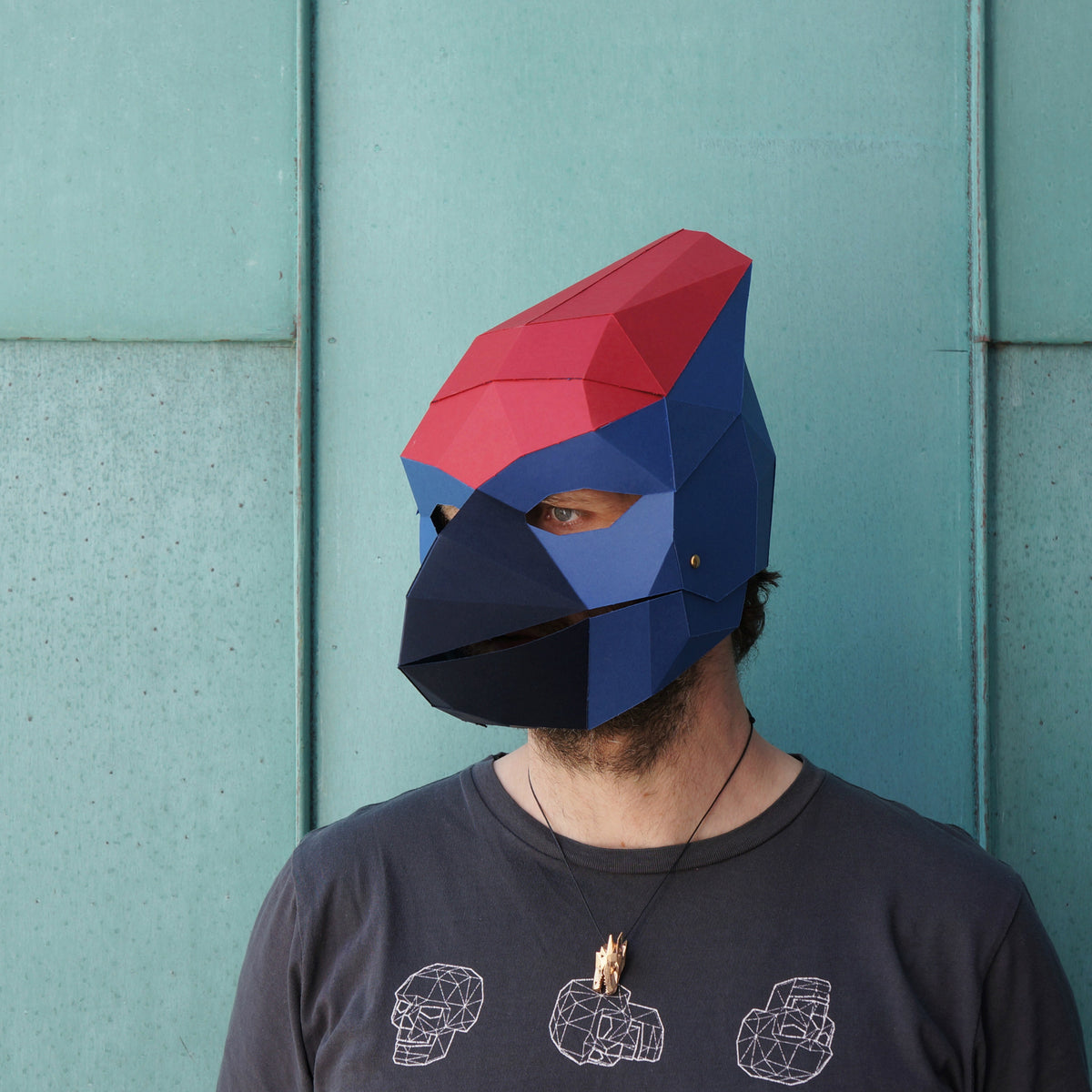 Finch Mask | Low Poly Geometric DIY Bird Template | PDF Download - Wintercroft-Mask