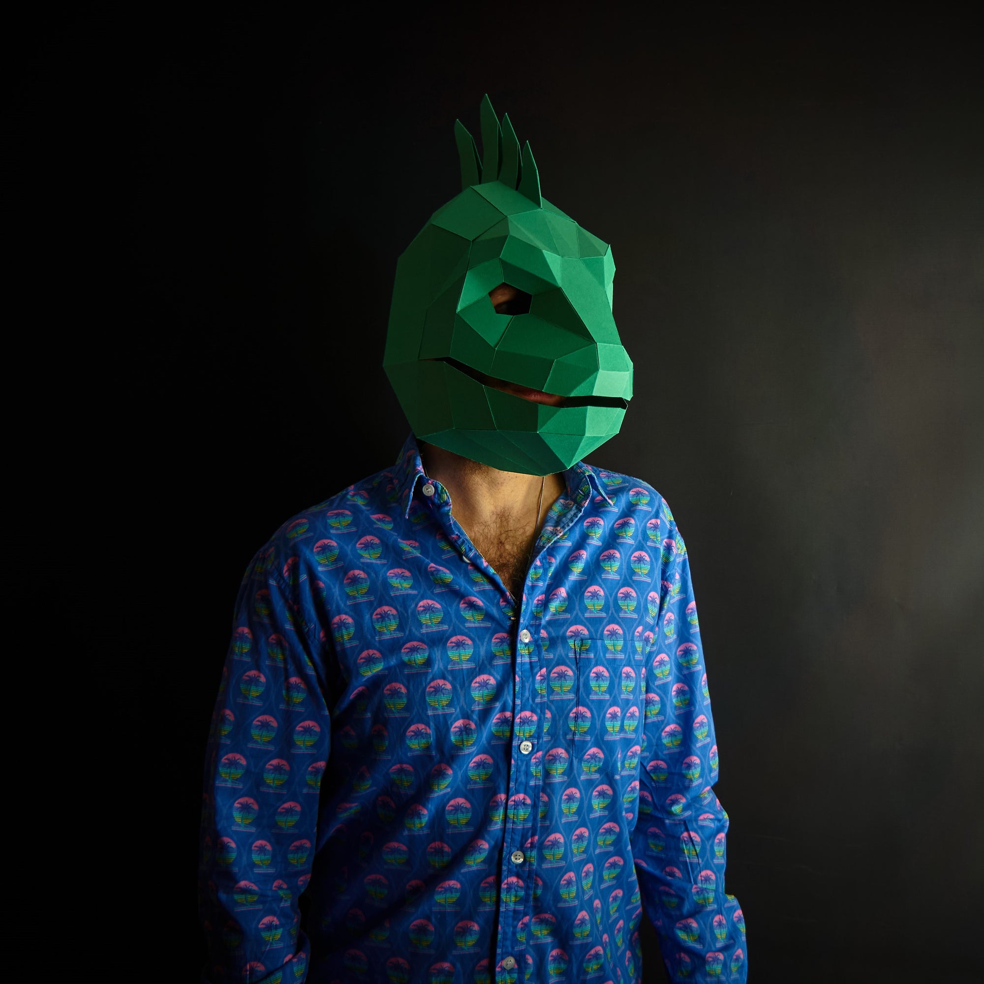 Iguana Mask