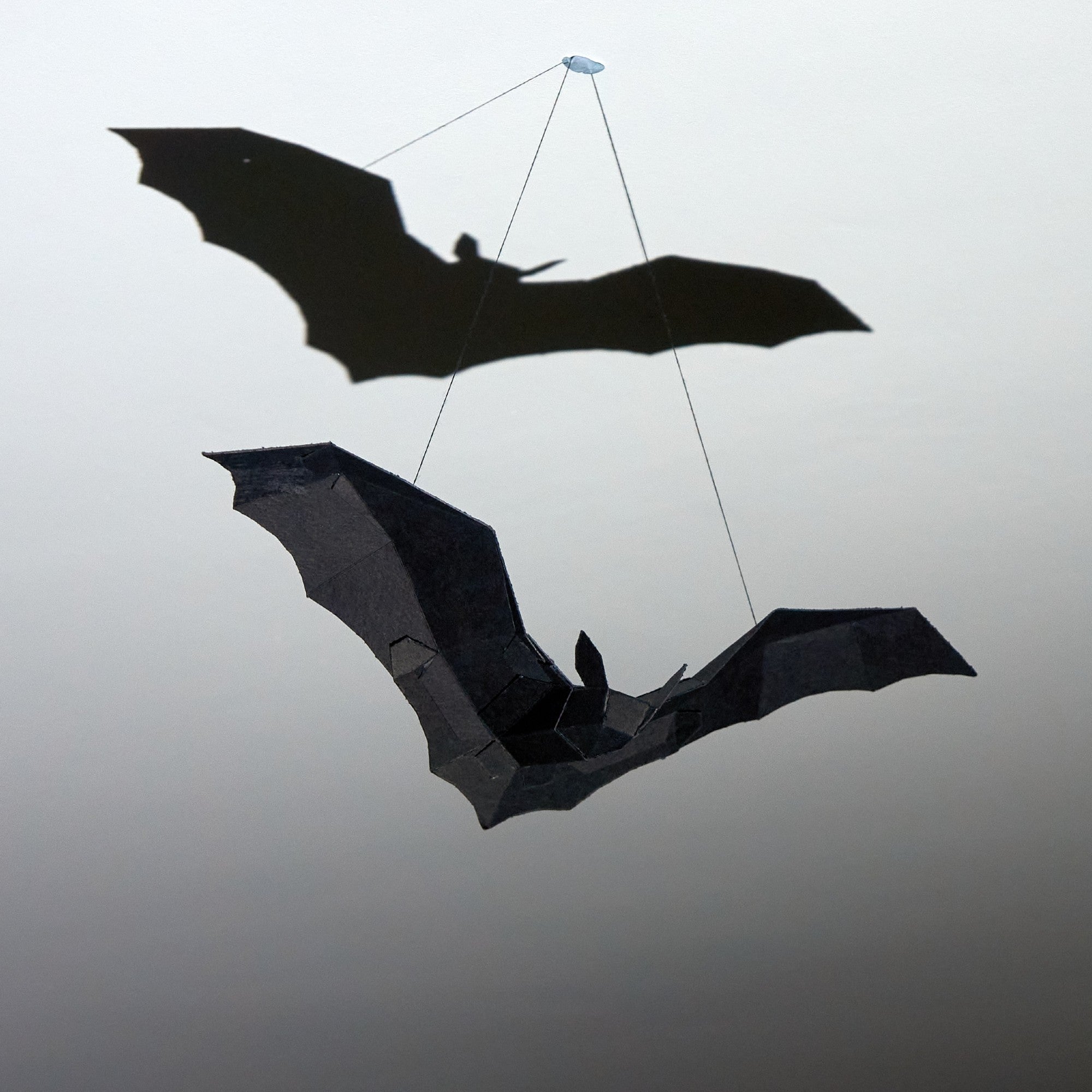 Bat Model