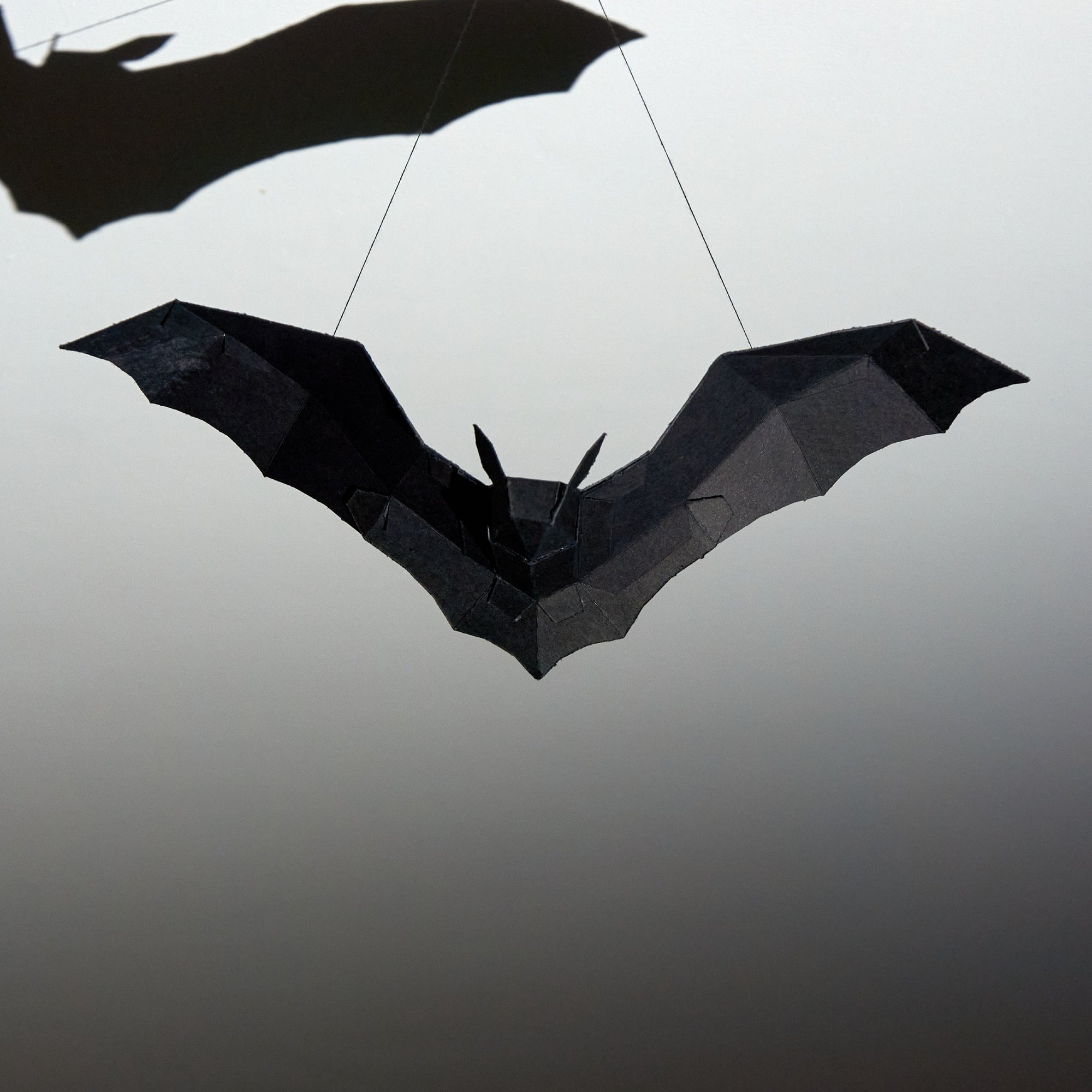 Bat Model