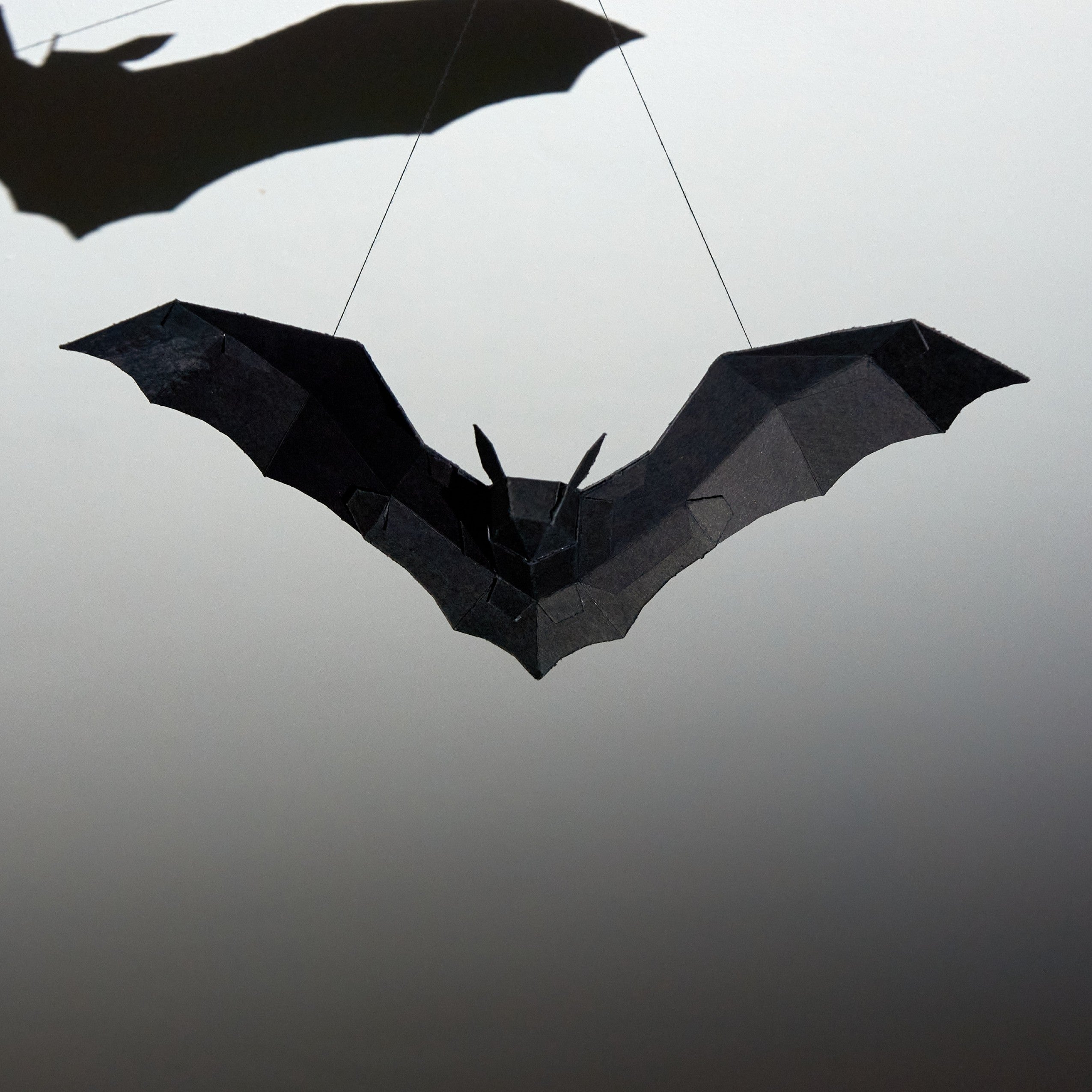 Bat Model - Wintercroft - Resources