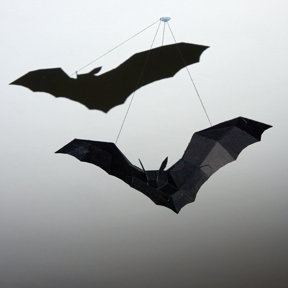 Bat Model - Wintercroft - Resources