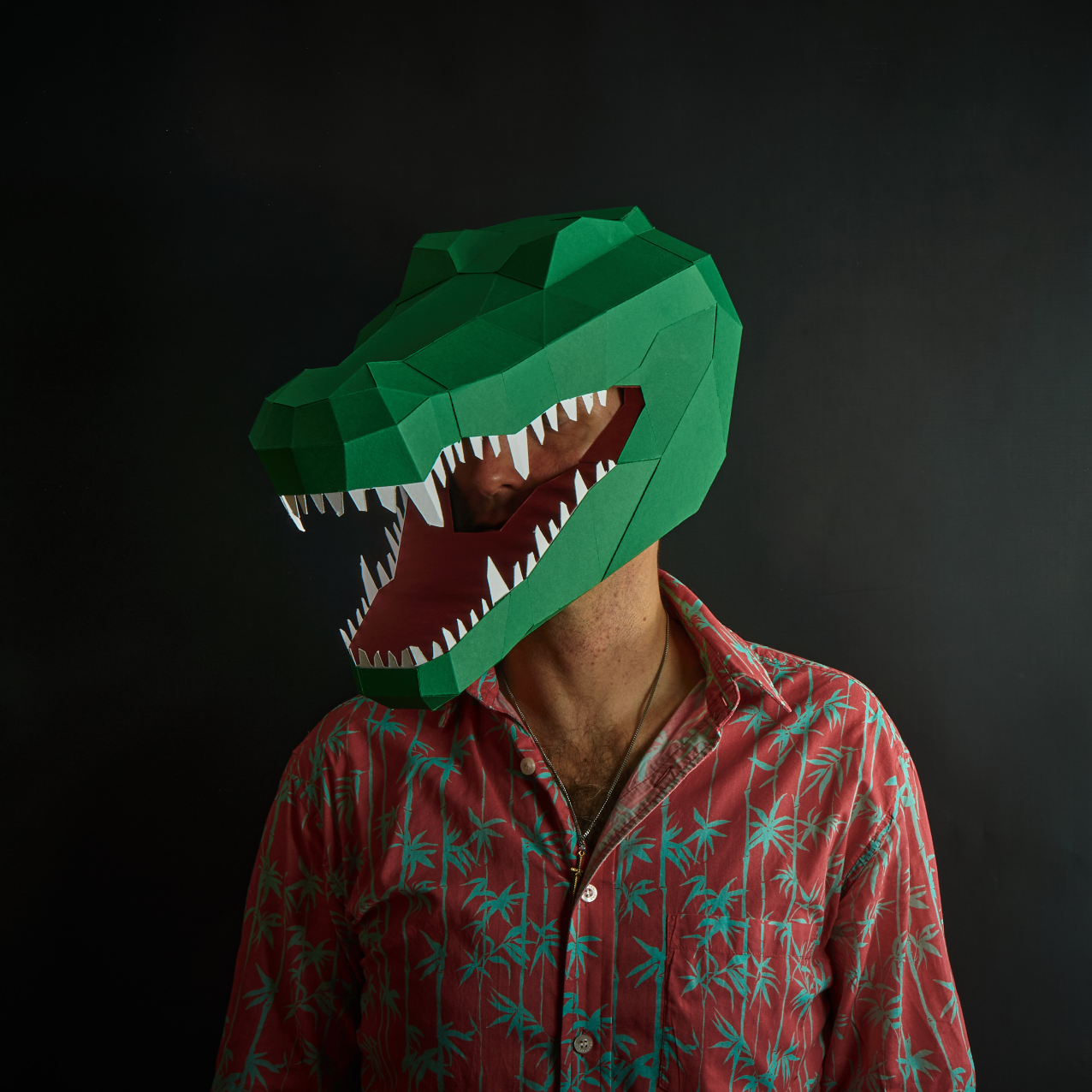 Exotic Animals Mask Set