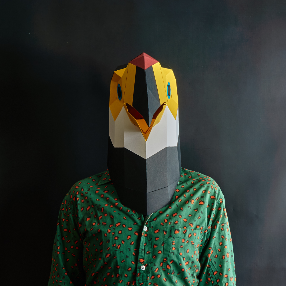 Toucan Mask