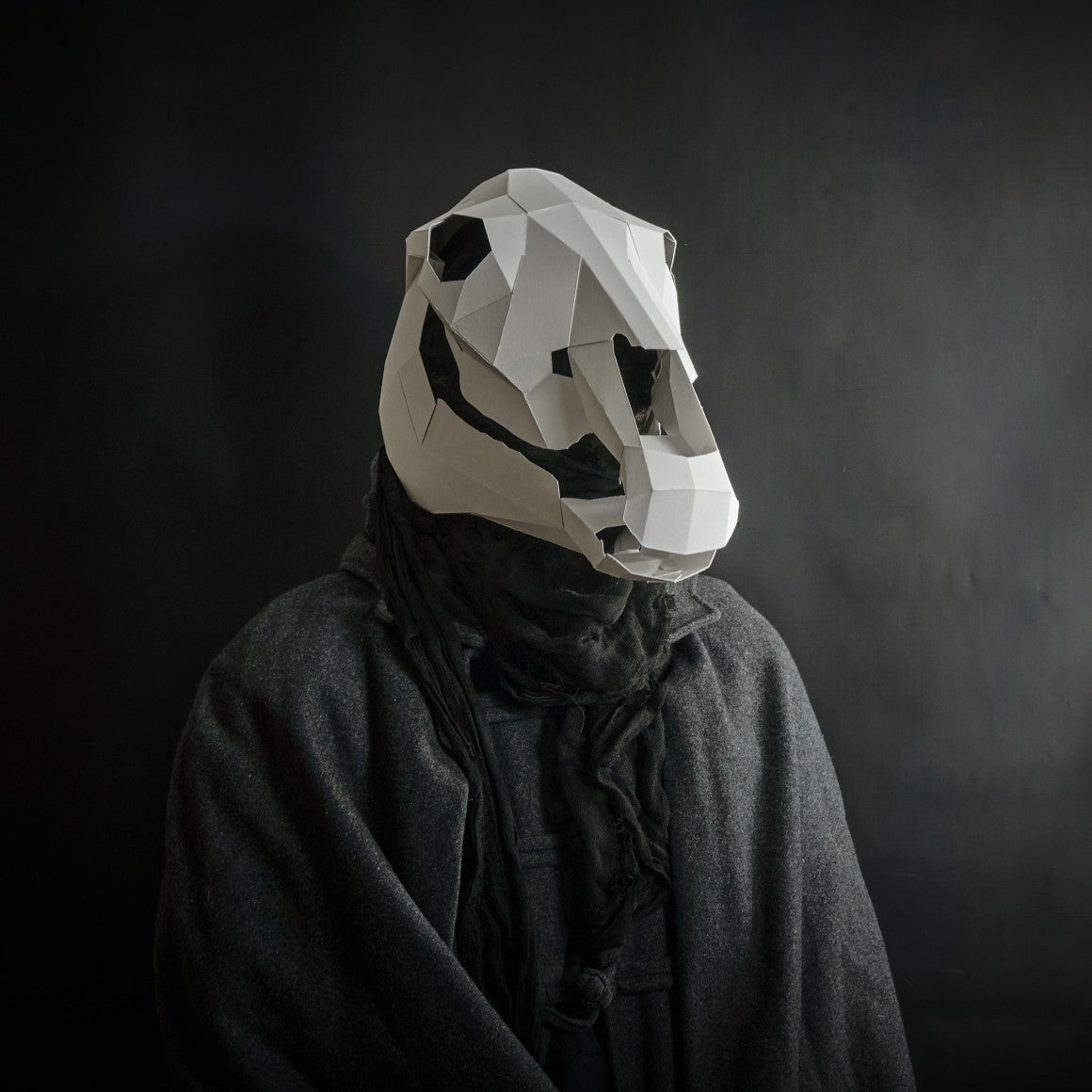 Horse Skull for Halloween and Mari Lwyd