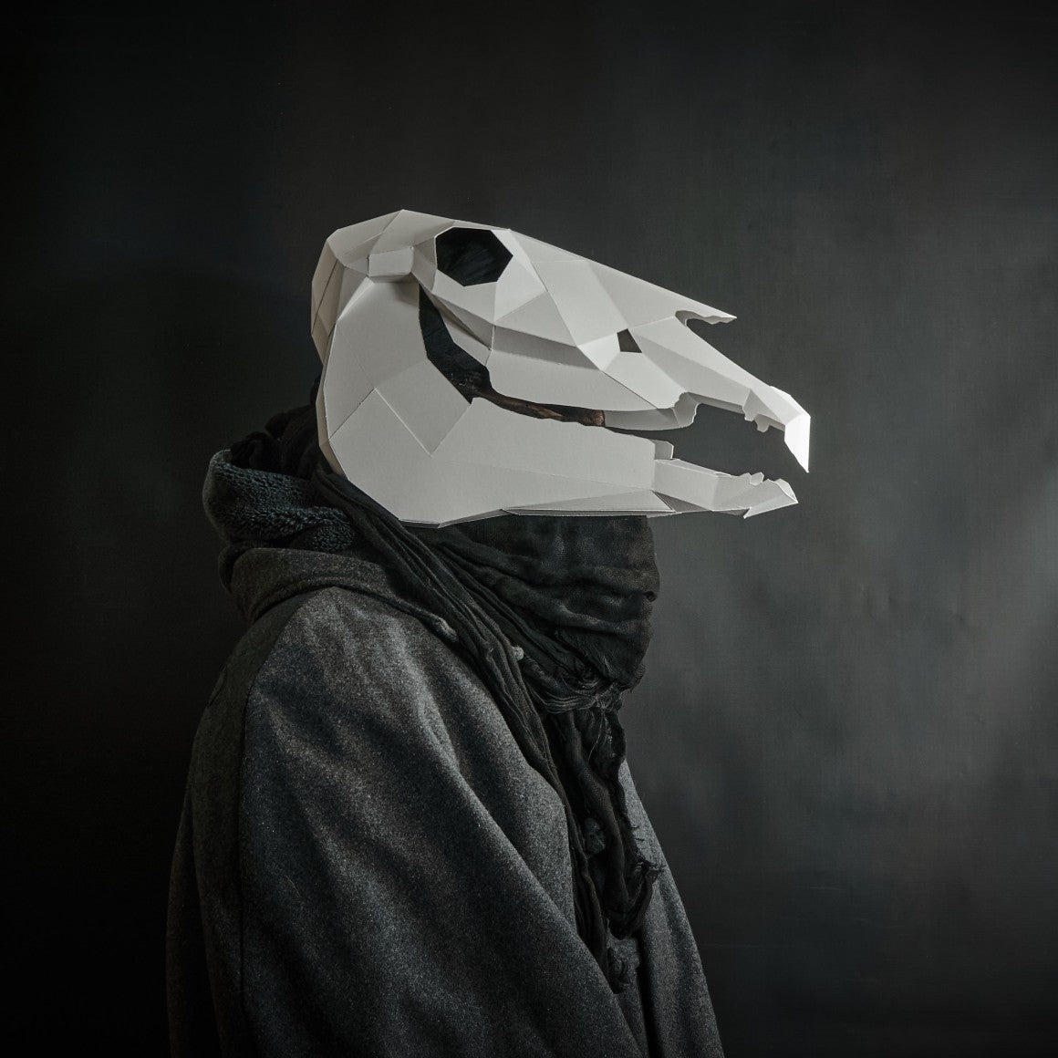 Horse Skull for Halloween and Mari Lwyd