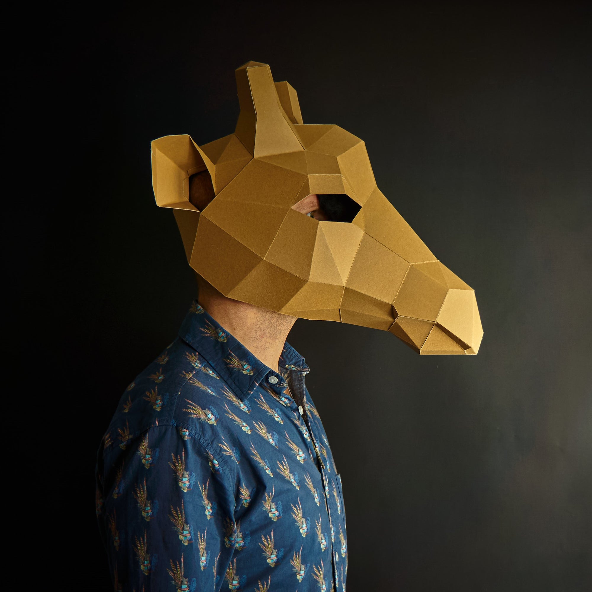 Giraffe Mask