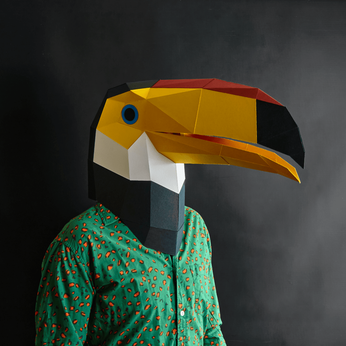 Toucan Mask - Wintercroft - Mask