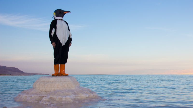 Greenpeace and Wintercroft Protect Antarctic - Wintercroft