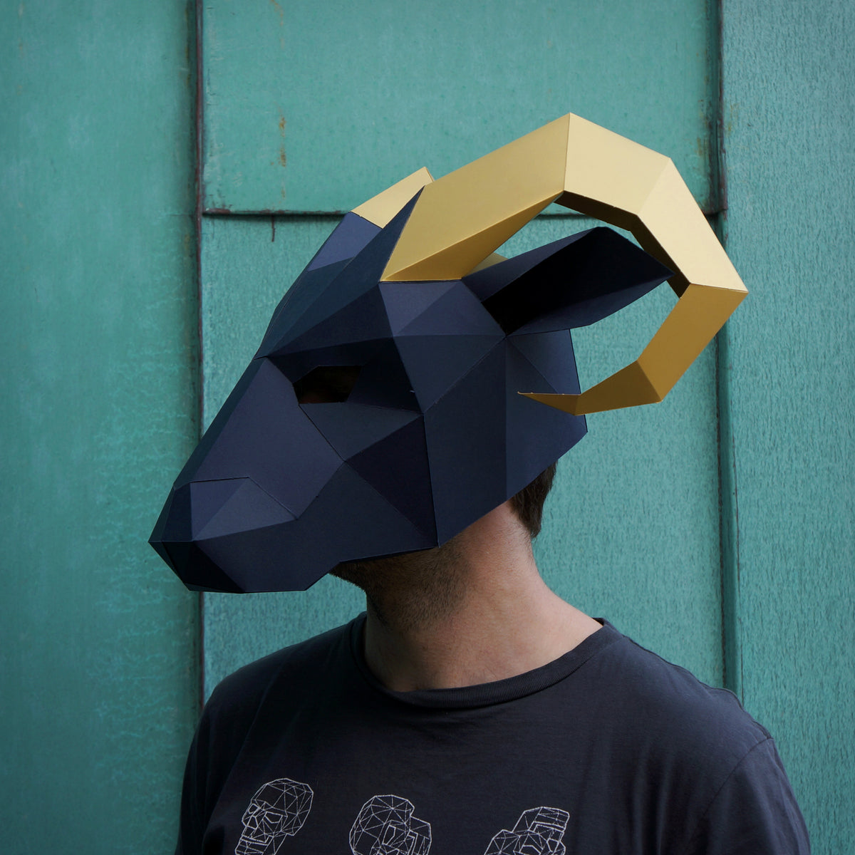 Solar Farm Mask Farm Animals Mask Set | DIY Printable Paper Masks | Instant PDF ...