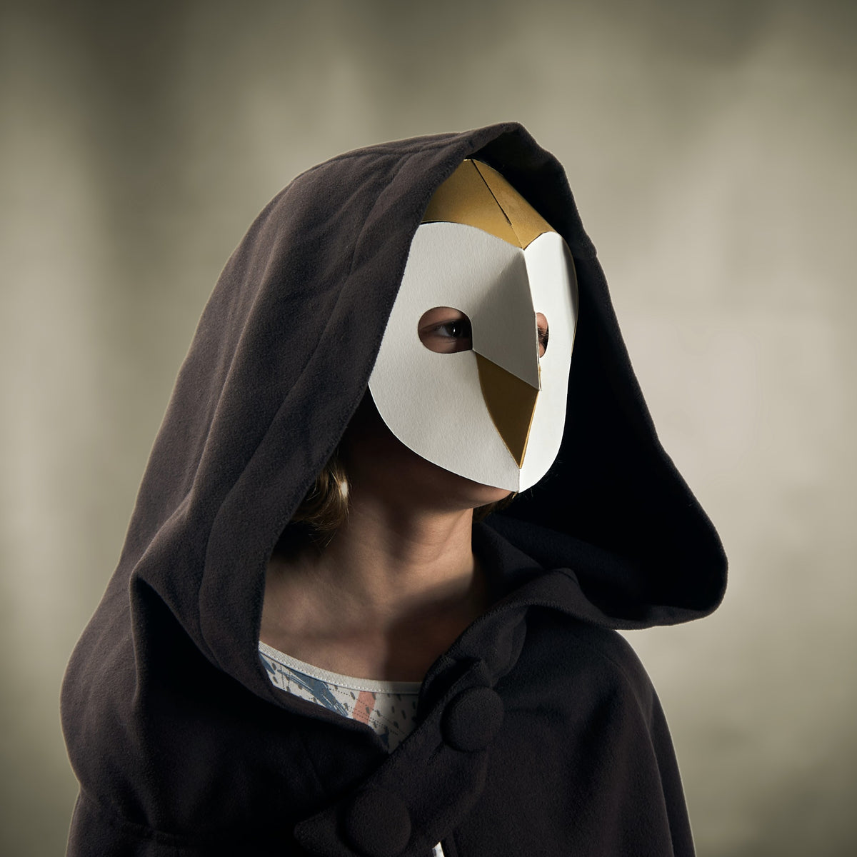 Barn Owl | Easy Kids Bird Mask Template | PDF Download - Wintercroft - Mask