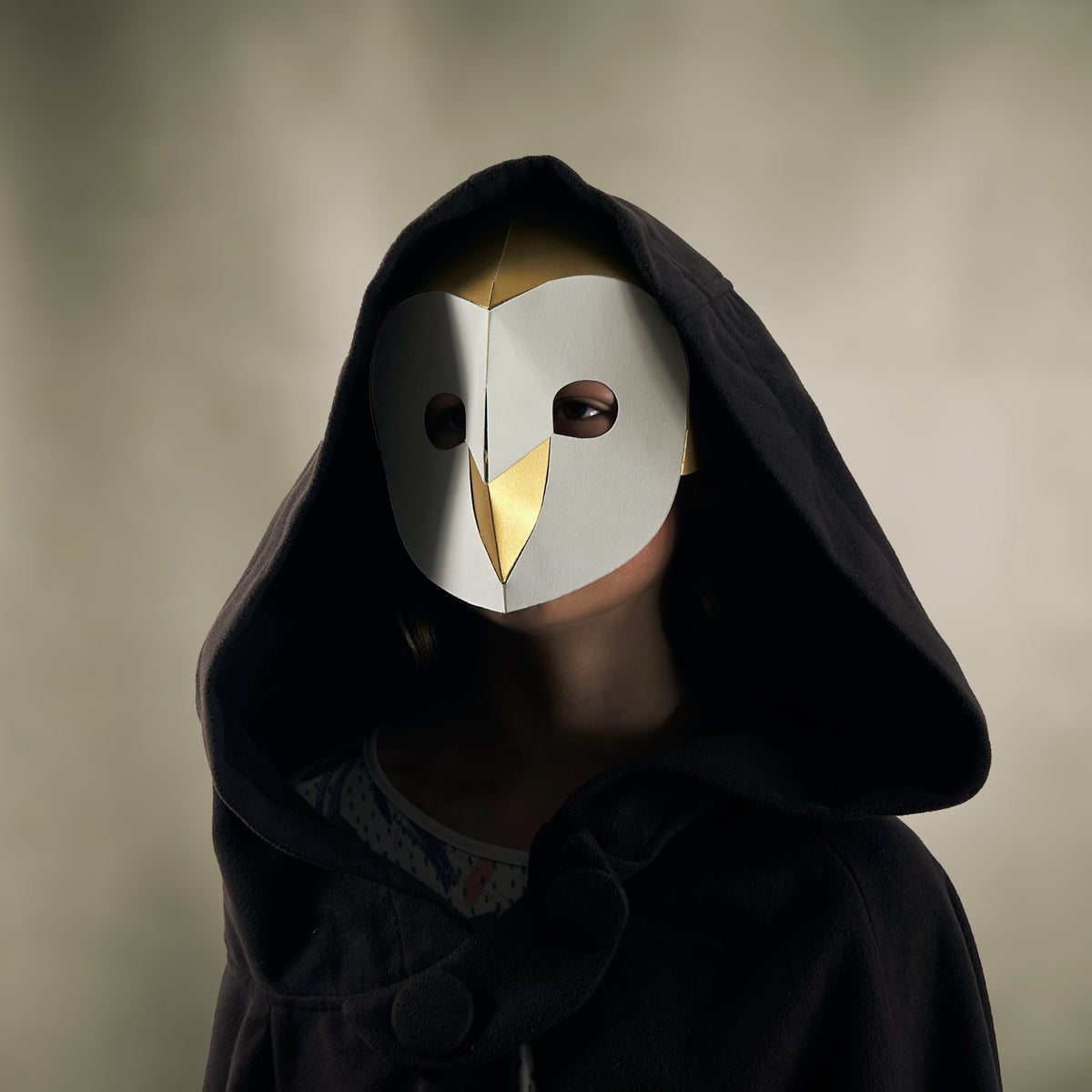 Barn Owl | Easy Kids Bird Mask Template | PDF Download - Wintercroft - Mask