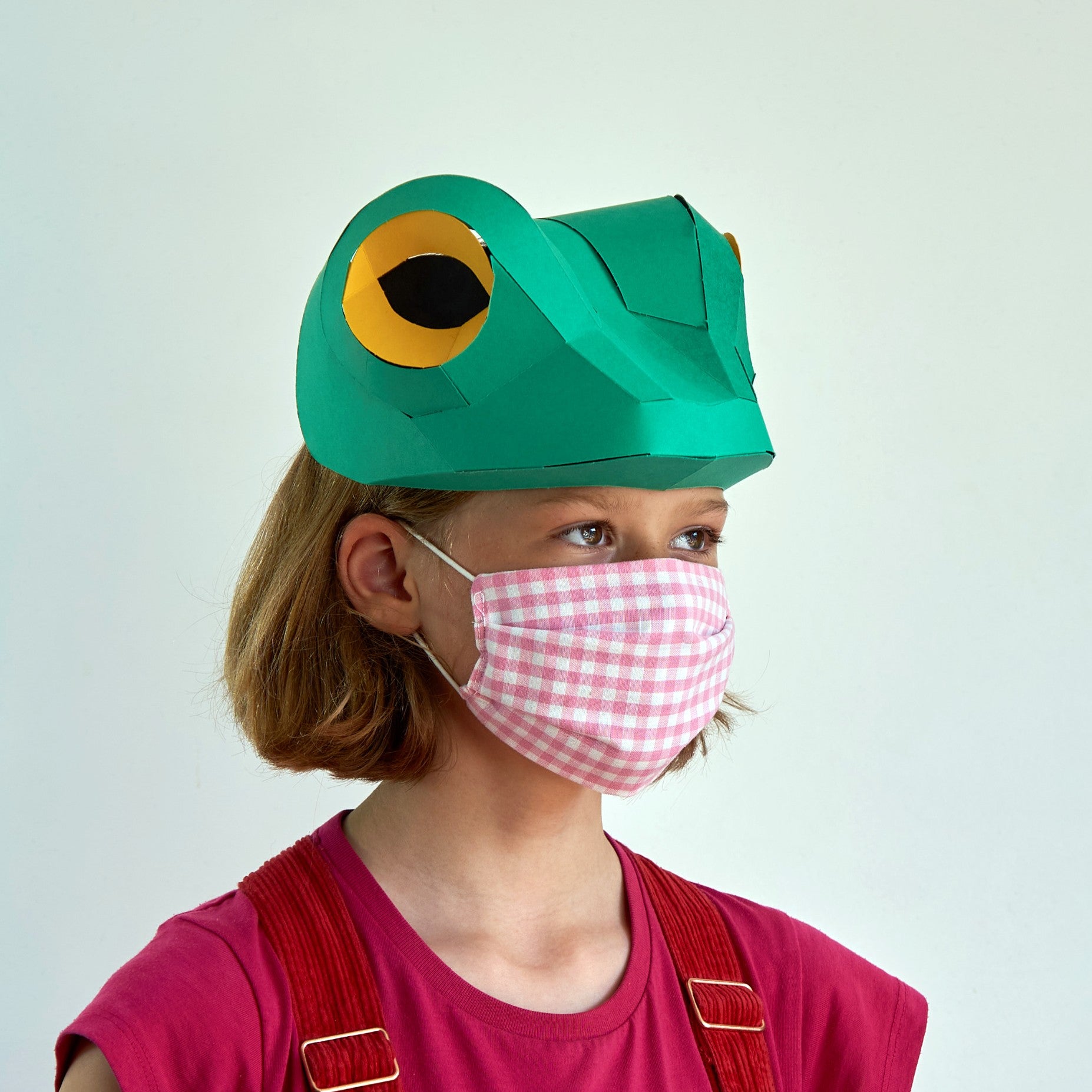 Children's Frog Mask