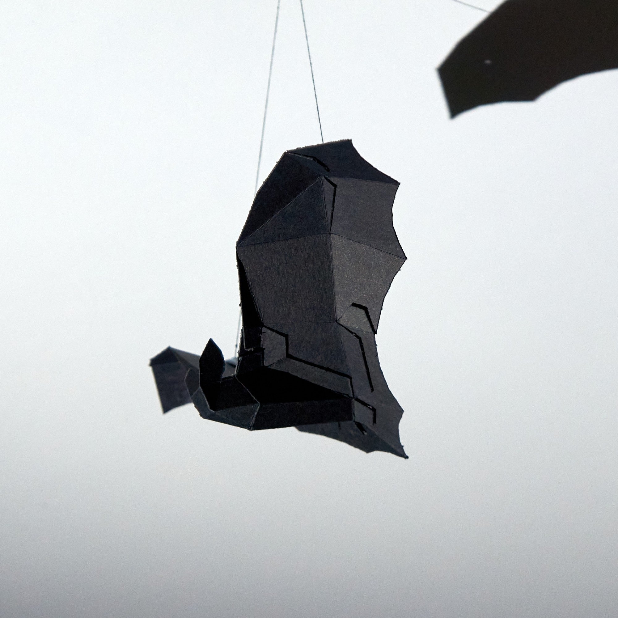 Bat Model – Wintercroft