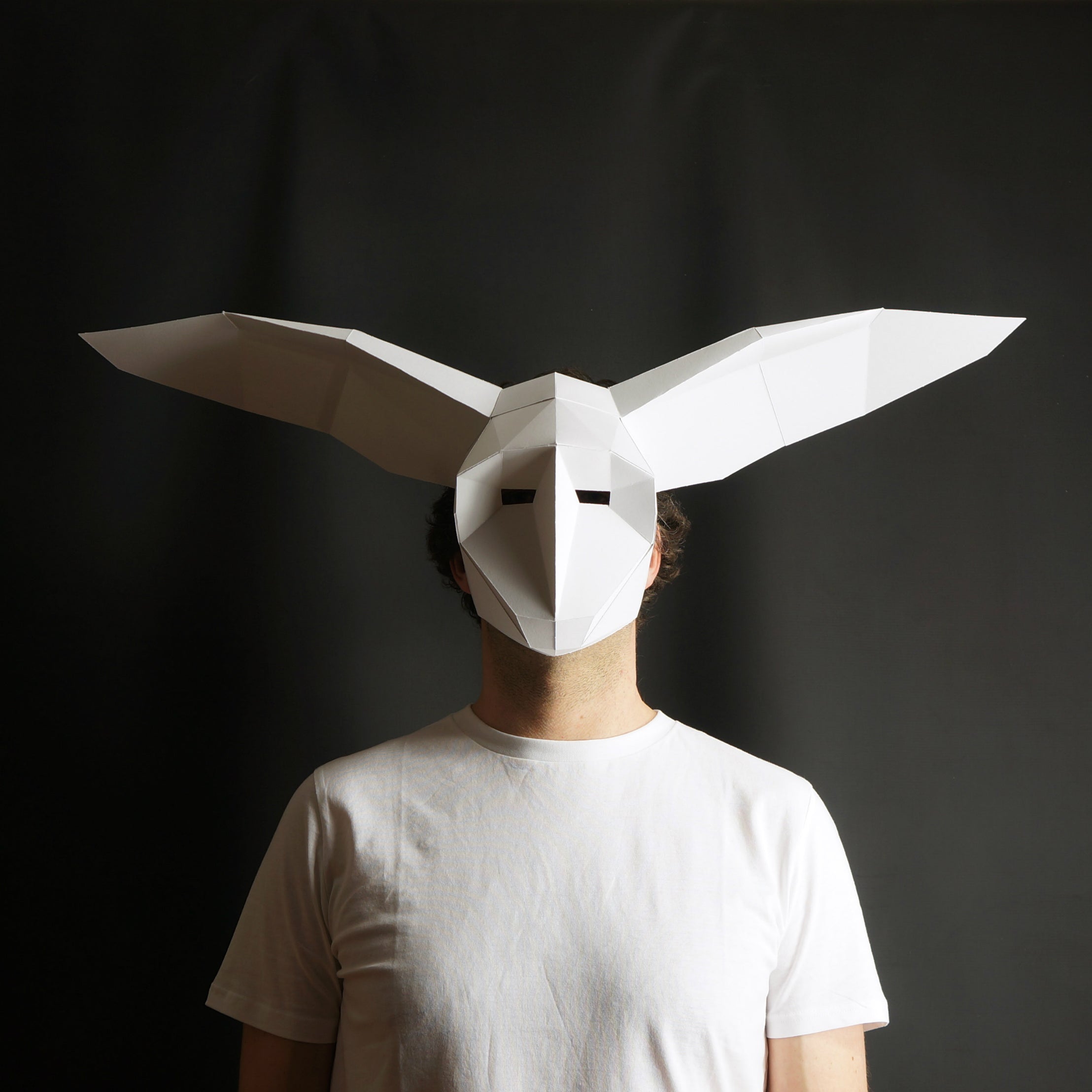 Owl Mask | Abstract Geometric Paper Mask | Instant Download