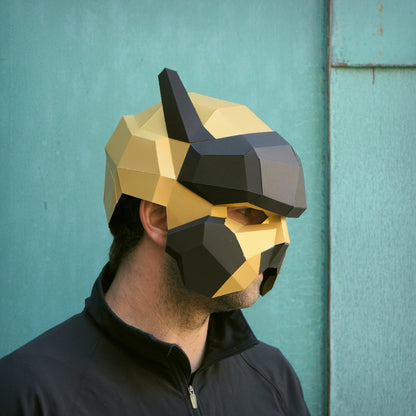 Pilot Helmet - Wintercroft
 - 1