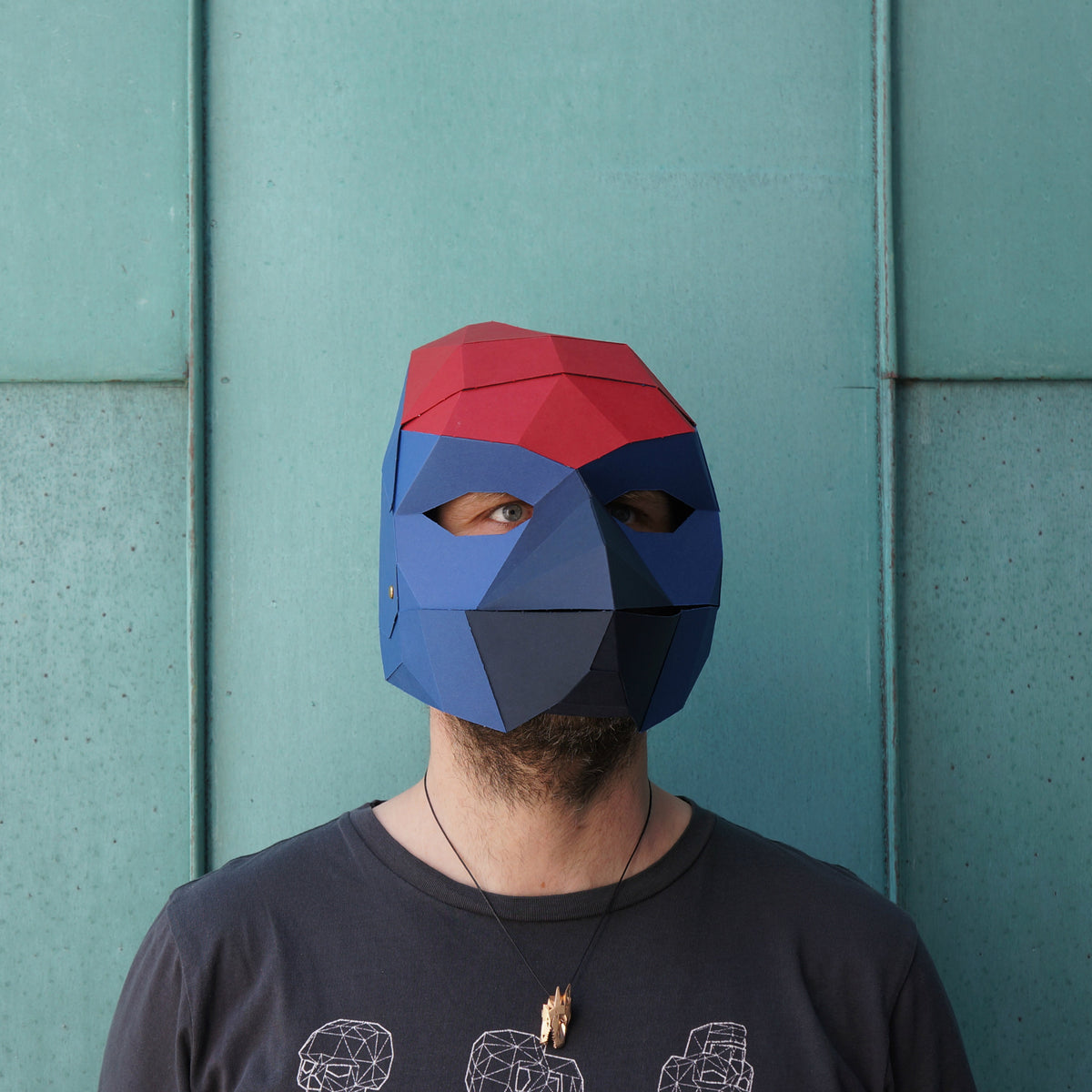 Finch Mask | Low Poly Geometric DIY Bird Template | PDF Download - Wintercroft-Mask